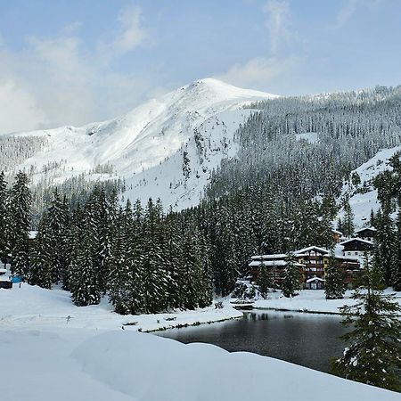 Hotel Sportalmmm, Hoch-Genuss (Adults Only) Zauchensee Dış mekan fotoğraf