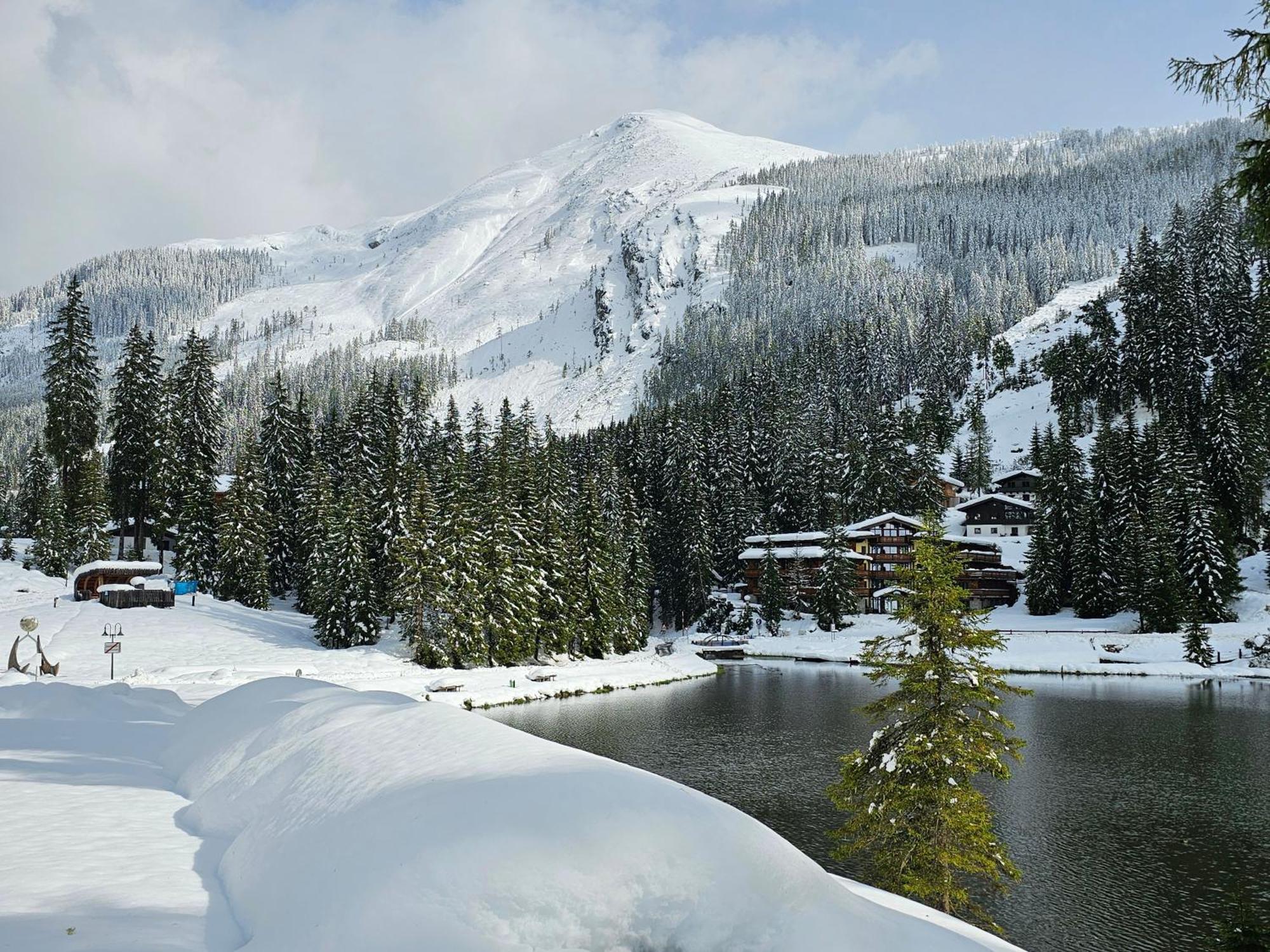 Hotel Sportalmmm, Hoch-Genuss (Adults Only) Zauchensee Dış mekan fotoğraf