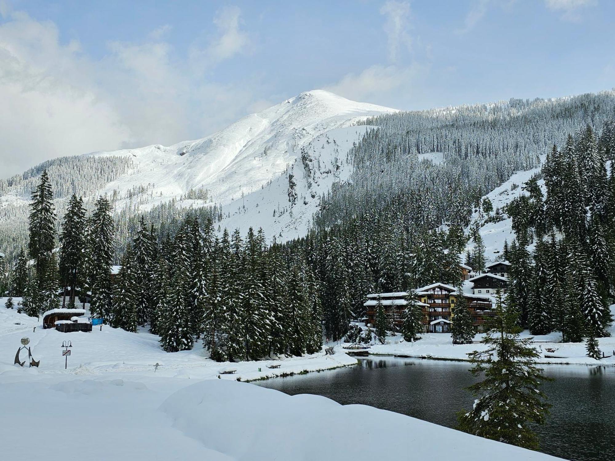Hotel Sportalmmm, Hoch-Genuss (Adults Only) Zauchensee Dış mekan fotoğraf